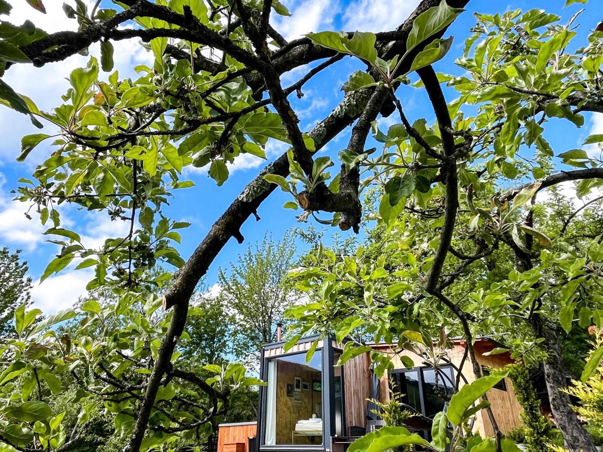 Bed and Breakfast Elysian Fields - The Island Tiny House Sadu Exterior foto